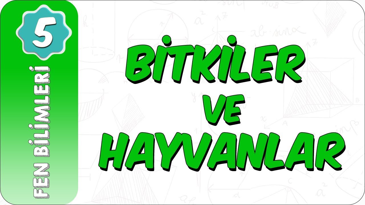 5. Sınıf Fen Bilimleri | Canlılar Dünyası: Bitkiler ve Hayvanlar