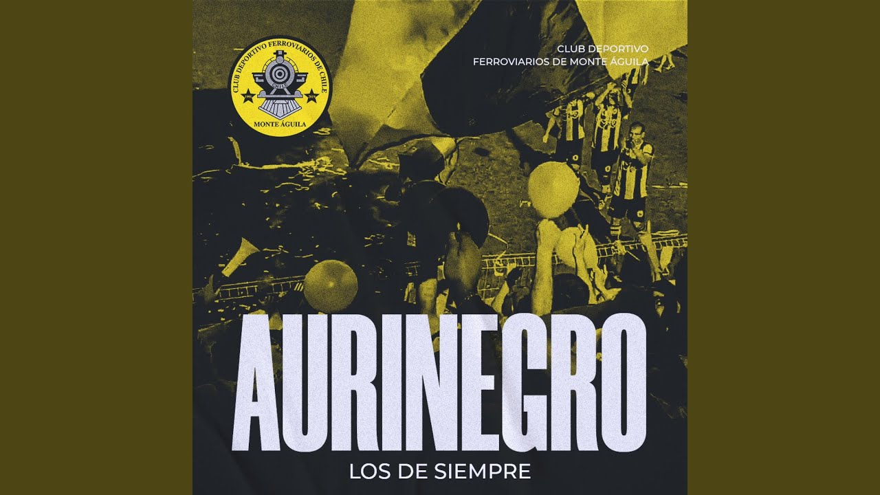 Aurinegro