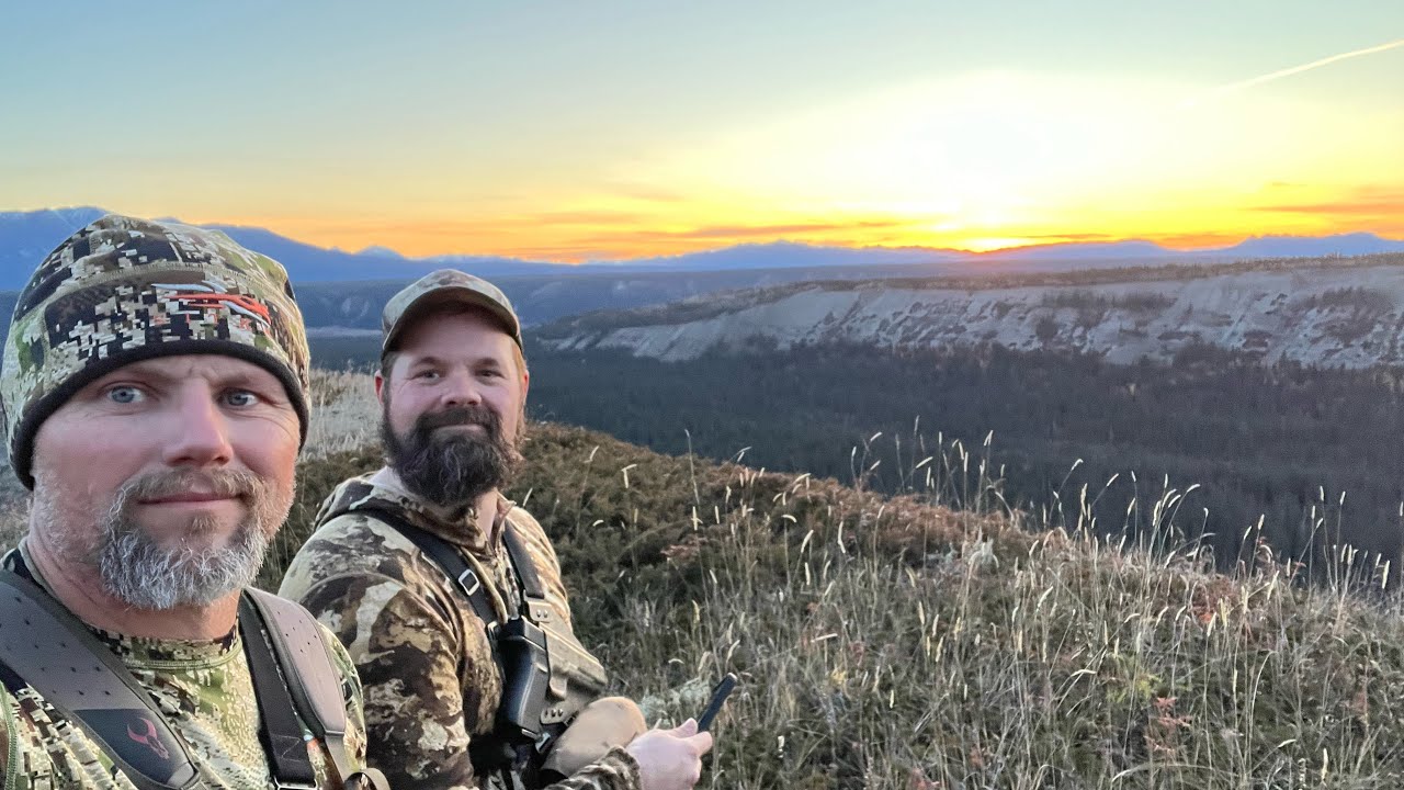 Alaska Bison Hunt 2024