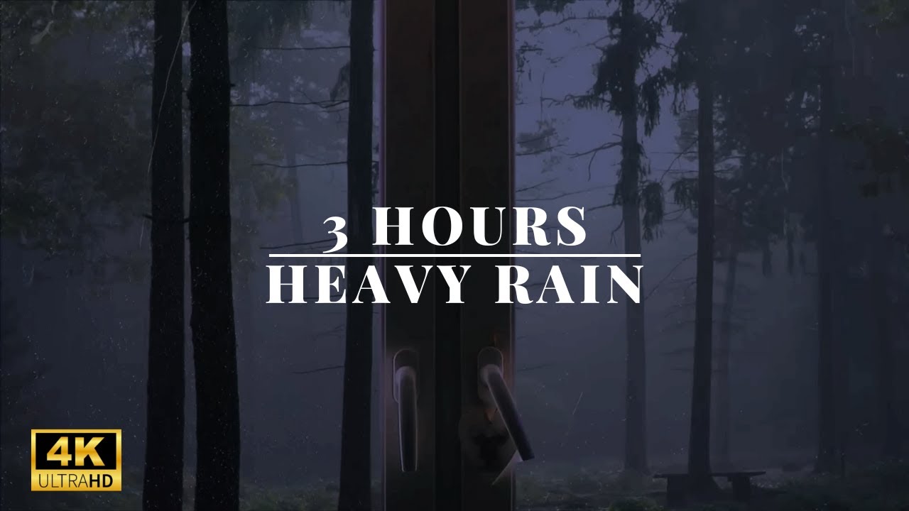 Foggy Forest Rain 🌧️ Window Ambience for Deep Sleep, Study & Relaxation (3 Hours)