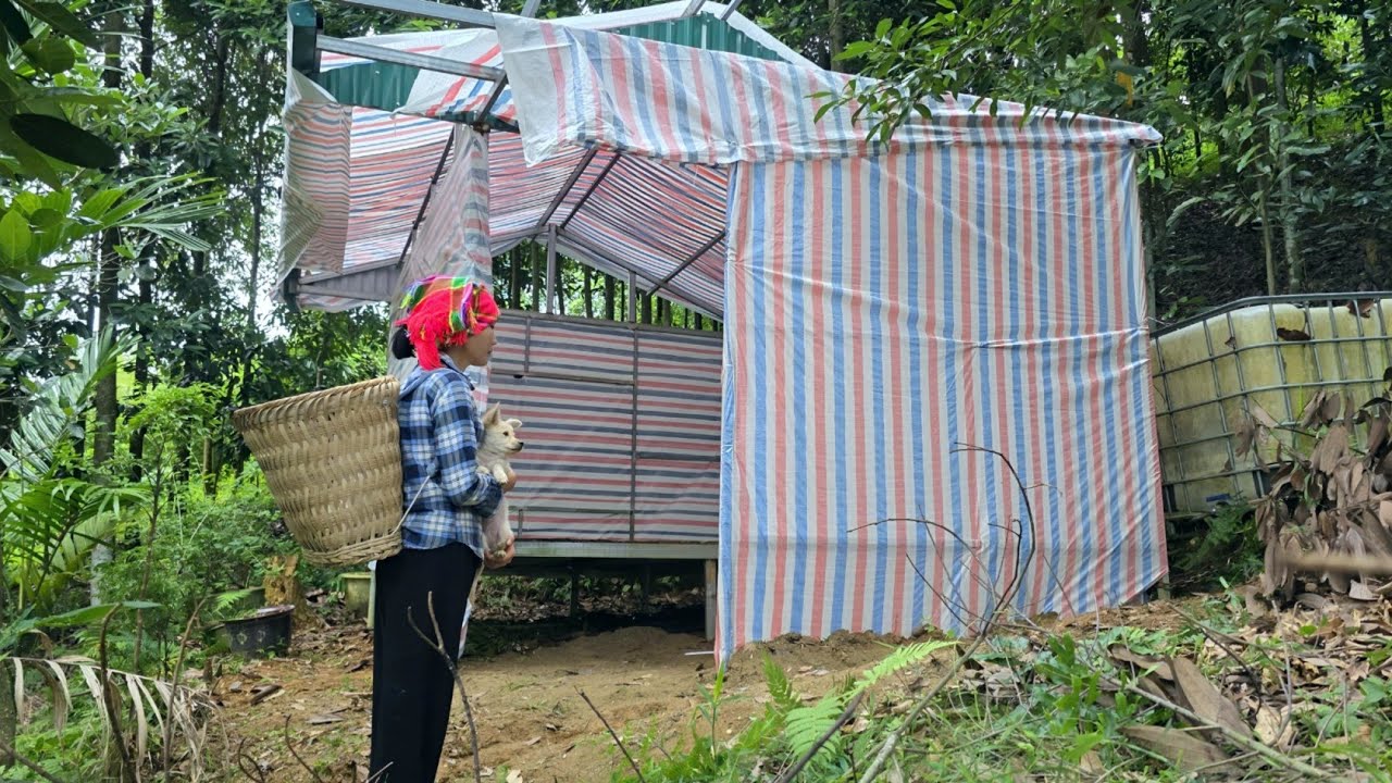 The single mother transformed the abandoned house in the forest into her own dream home
