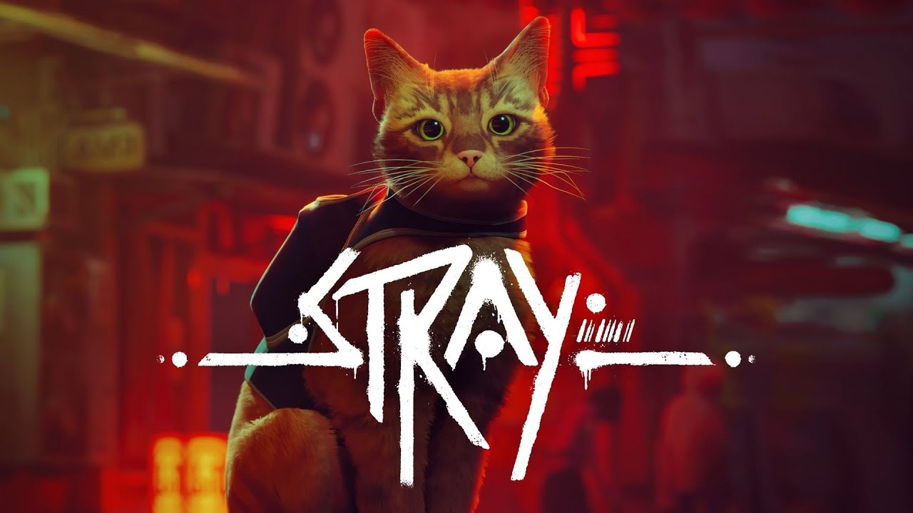 LIVE: Stray Gameplay auf Deutsch