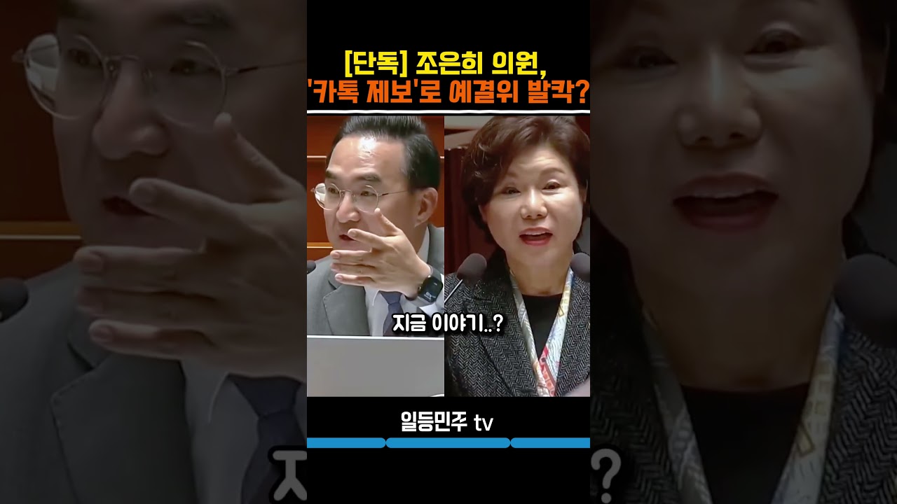 알아서 찾아내라? 조은희 역대급 무책임 답변  #국회  #예결위