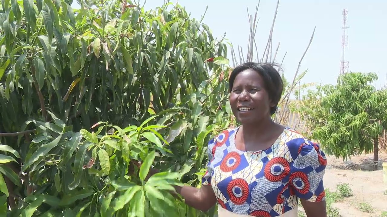 Ndinomkumo Garden Okatyali