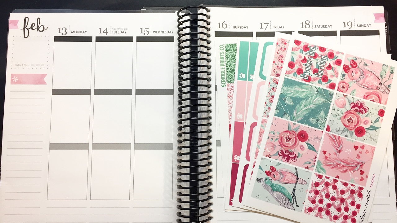 Valentine's Day | Plan with Me!
