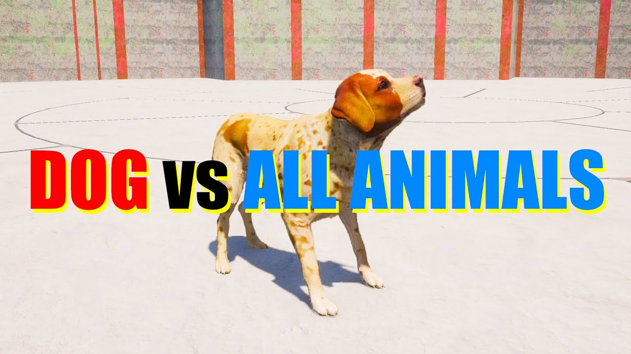 Far Cry 5 Arcade — Animal Fight: битвы собак против всех животных