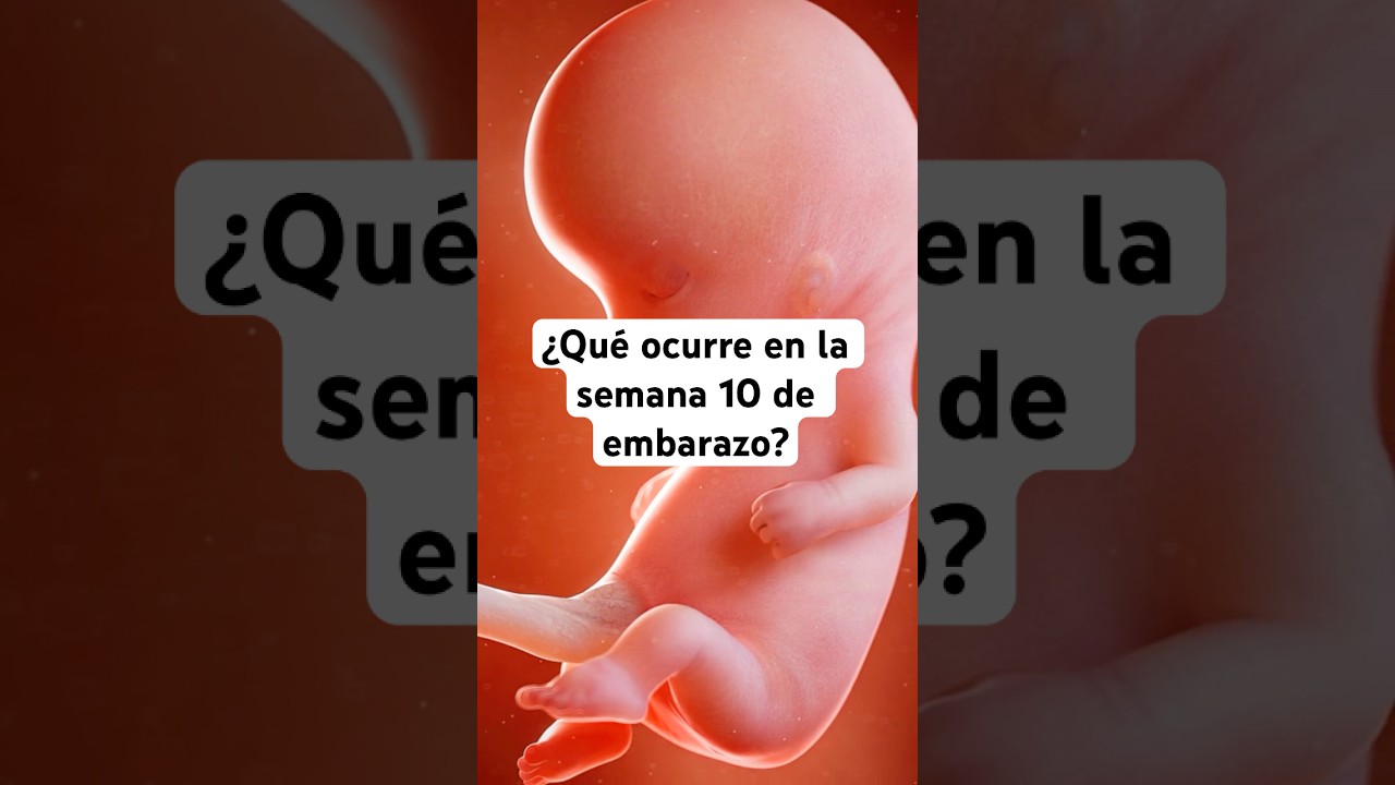 🤔 &iquest;Qu&eacute; ocurre en la semana 10 de embarazo? 🤰 S&iacute;ntomas y desarrollo del beb&eacute;