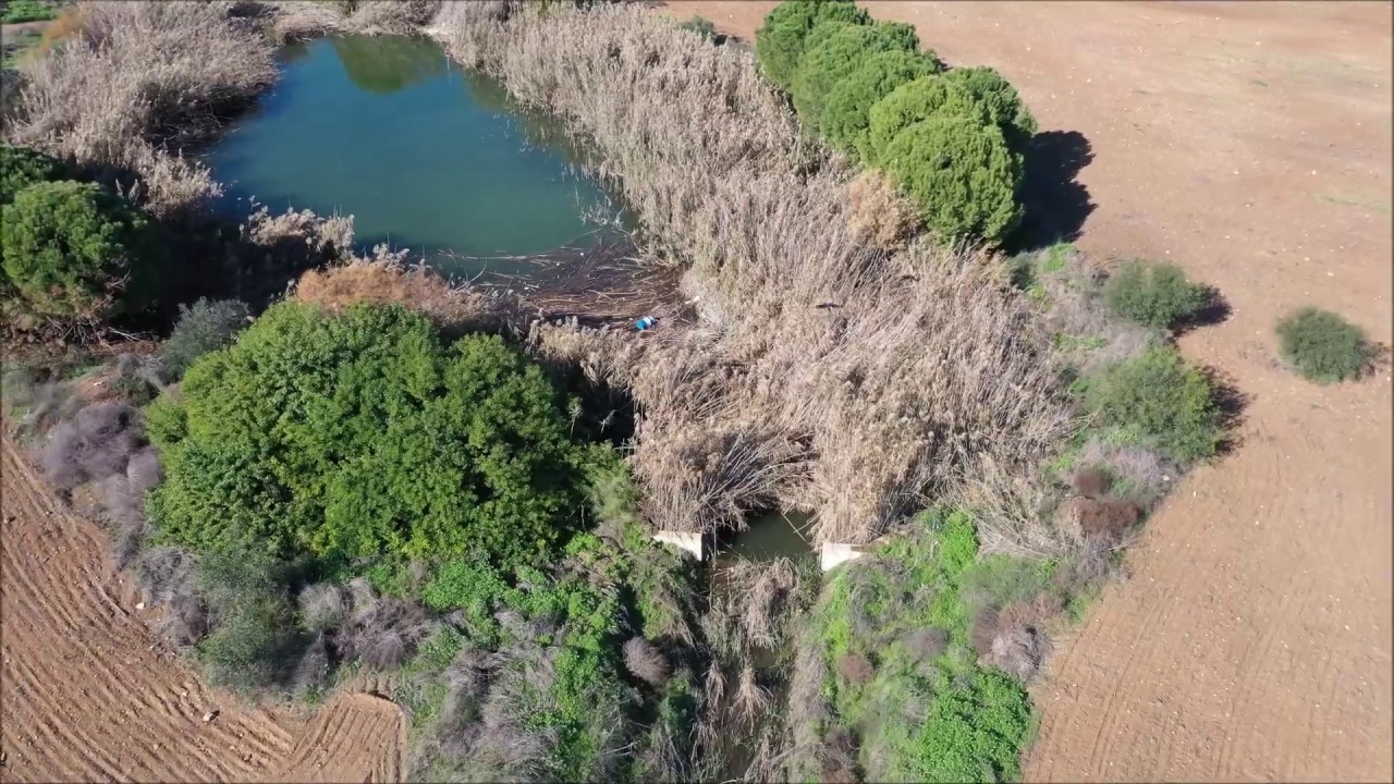 Agios Georgios Lakes at Athalassa from the sky   Λίμνες Αθαλάσσας στο πάρκο Αγίου Γεωργίου