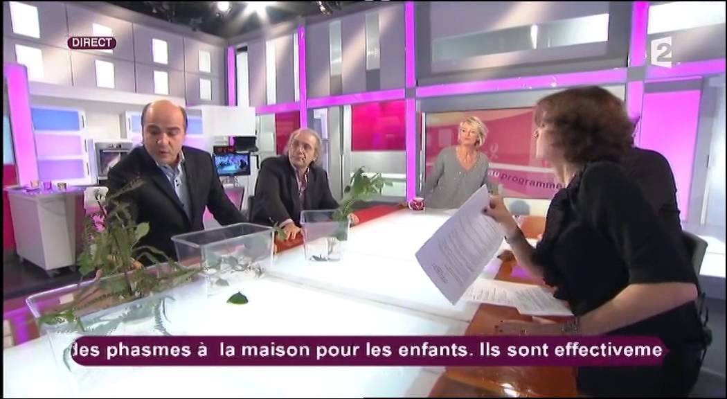 je passe sur france 2, c'est au programme, les phasmes