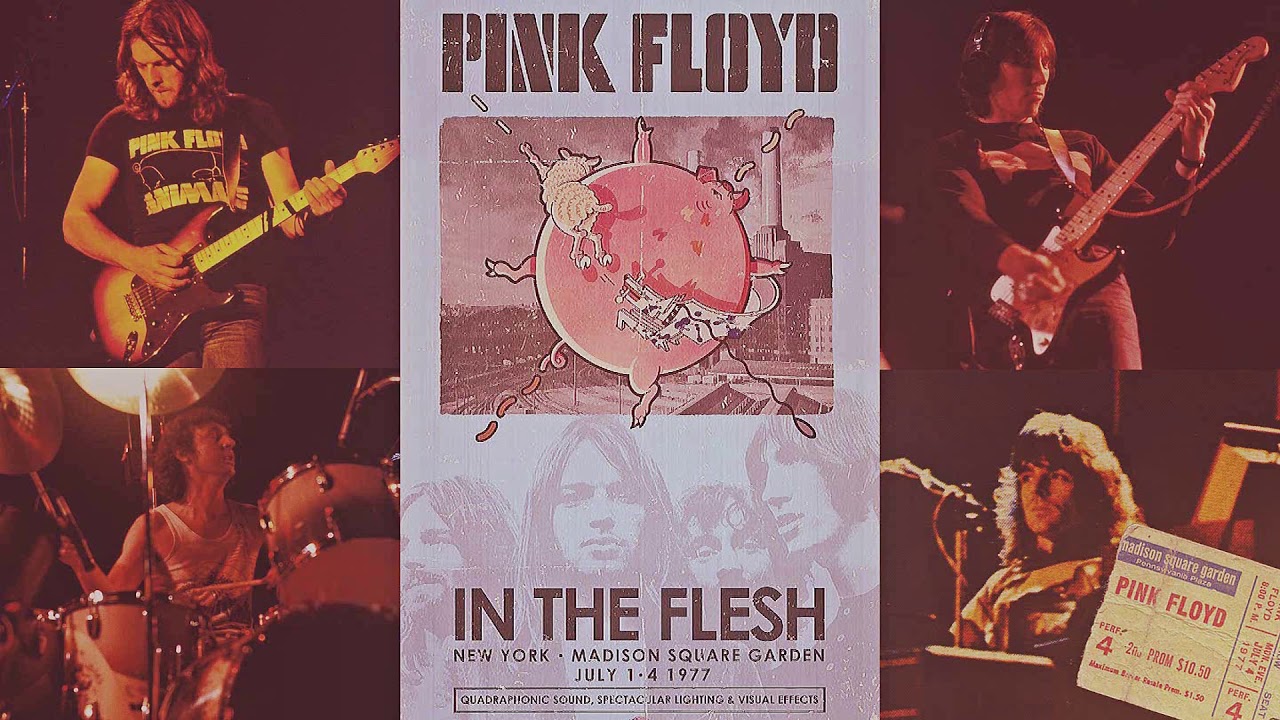 Pink Floyd - Dogs (1977-07-04)