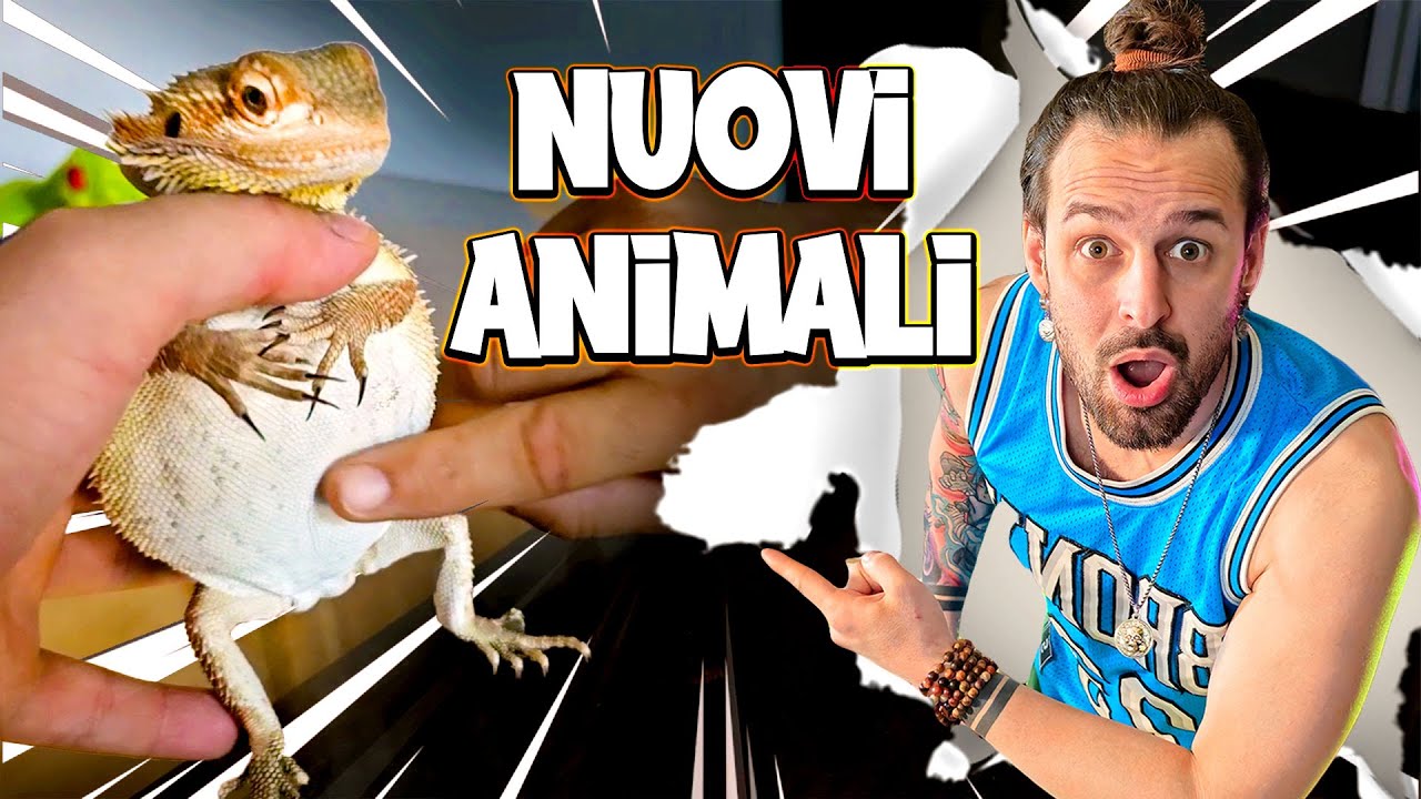 Mi Hanno Regalato degli ANIMALI... di Nuovo.