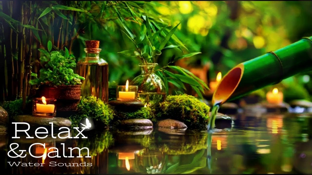 Calm Water Stream 🌙 Relaxing Nature Sounds for Deep Sleep & Focus (Live)