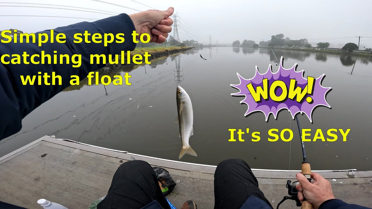 Simple steps to float fishing for mullet - AND CATCHING THEM