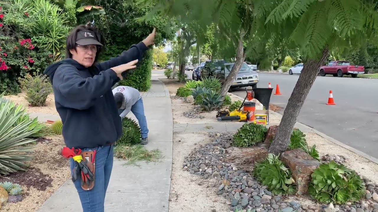 FIRST MAINTENANCE IN UNIVERSITY HEIGHTS!