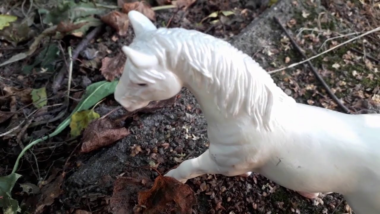 Die Geschichte der magischen Fohlen, Folge 6🦄❤