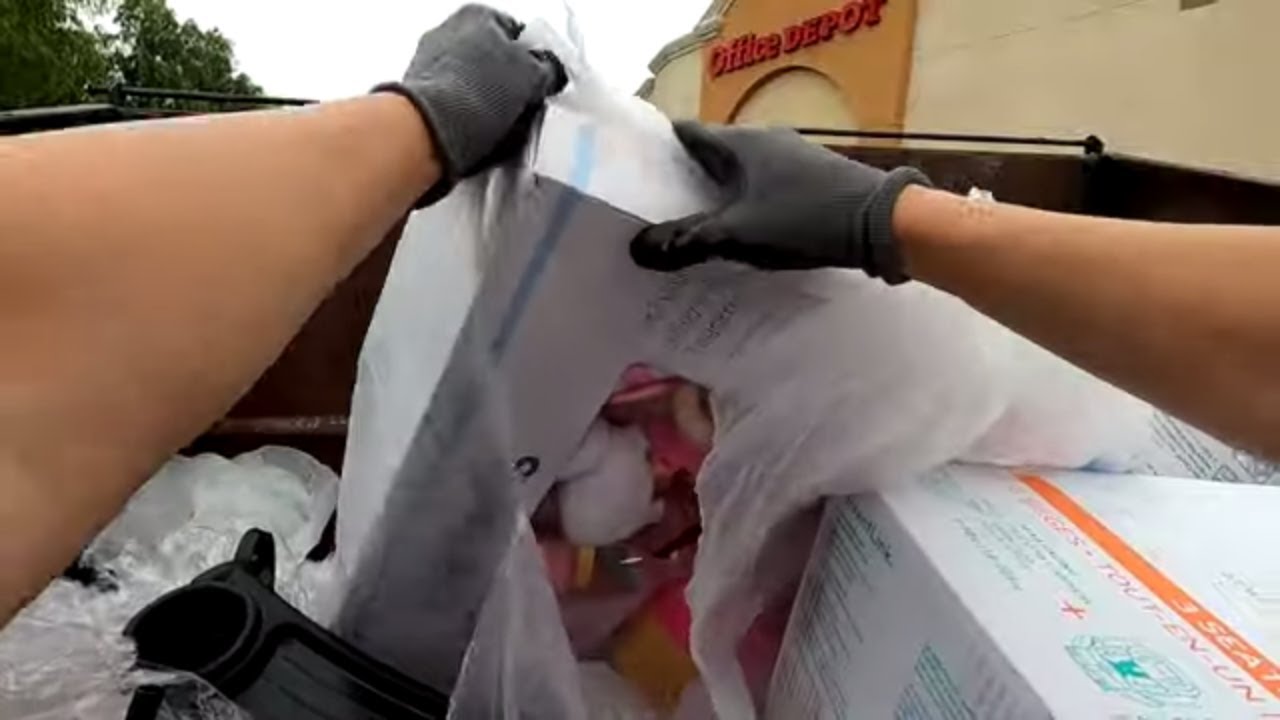 Dumpster Diving- The Store Didn't want us to find them but we did!