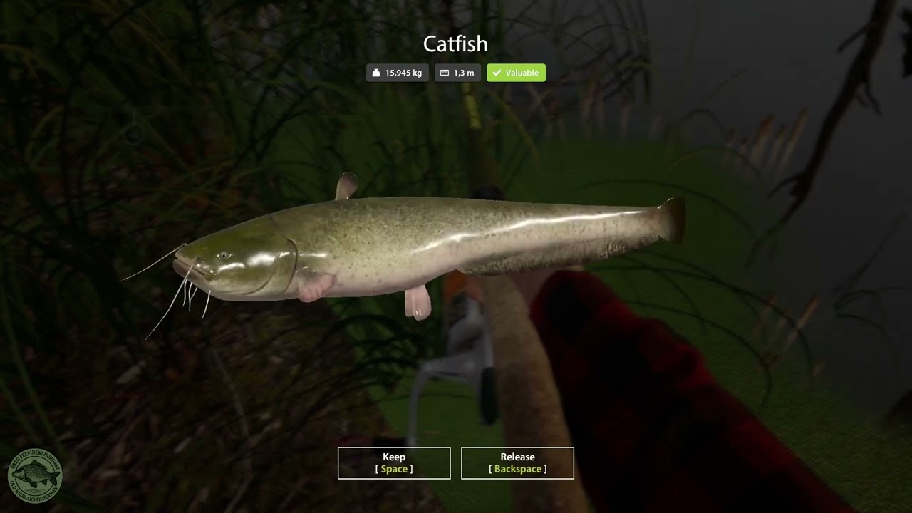 Old Burg Lake - Catfish Hotspot