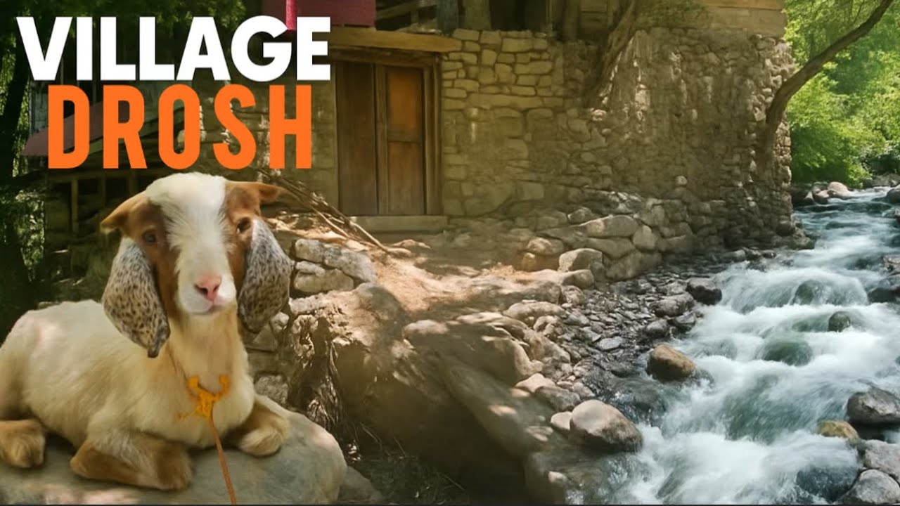 Peaceful Village Life with Beautiful Nature | Off-Road Adventure l Hidden Heaven - Drosh Chitral