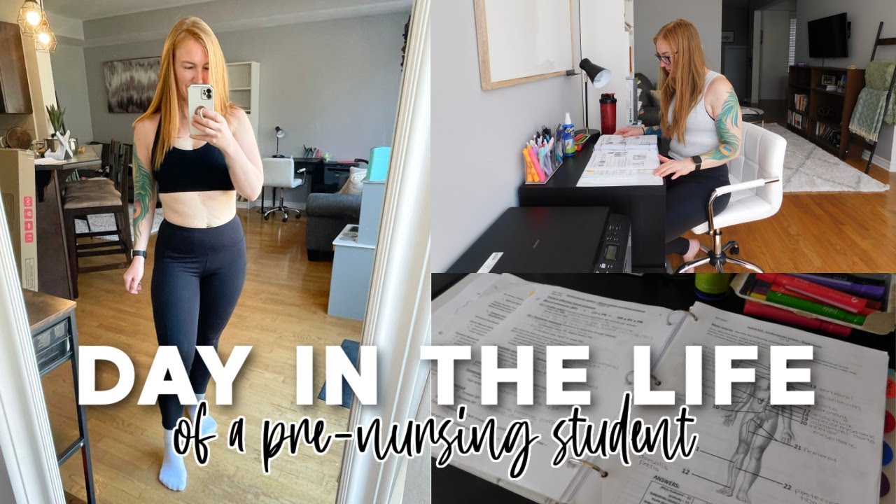 STUDY ROUTINE: Pre-Nursing Student (2024)