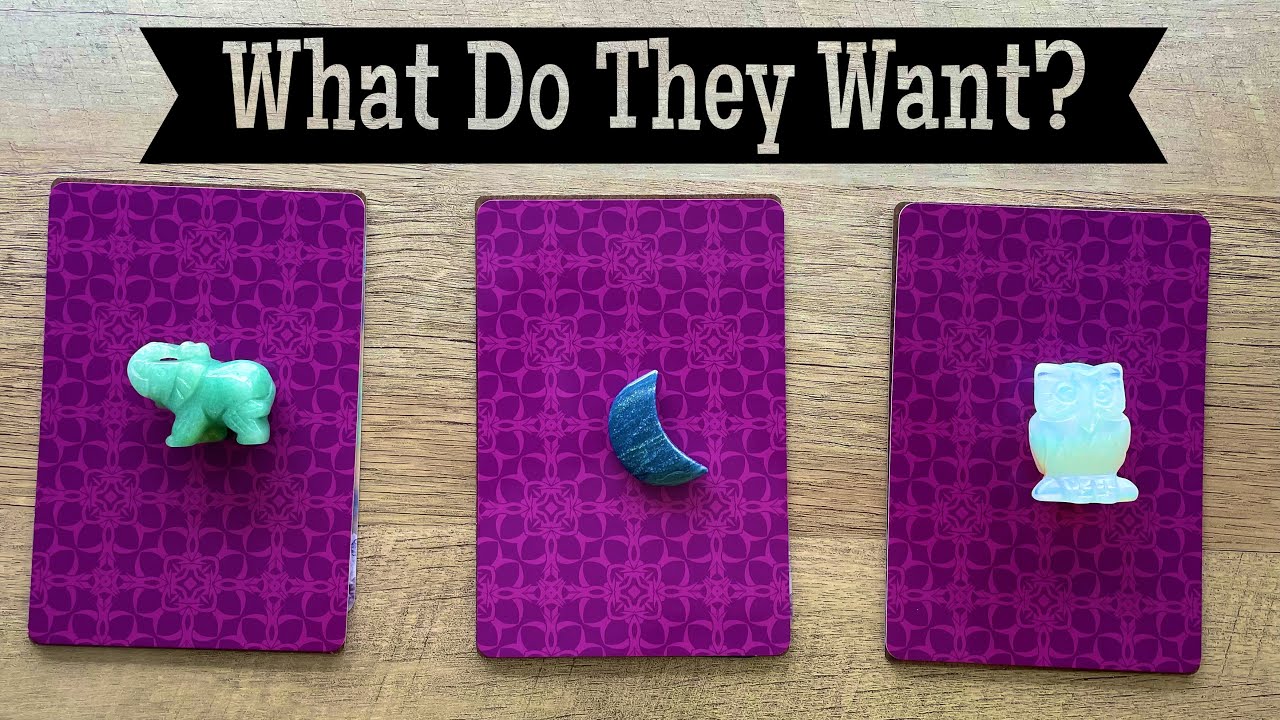 Pick A Card. What Do They Want - RIGHT NOW? What Are They Thinking? Timeless Love Reading. 💖