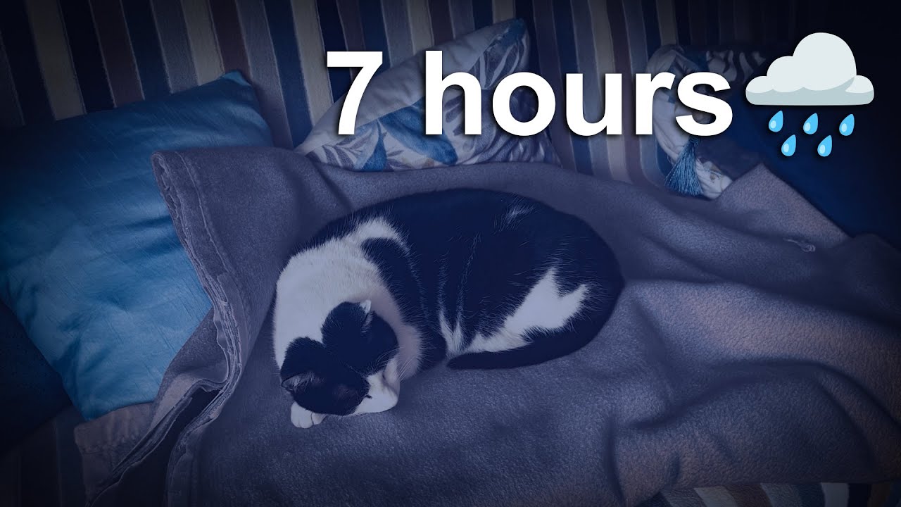 Cat Purring with Rain Sounds 7 Hours | Deep Sleep & Relaxation