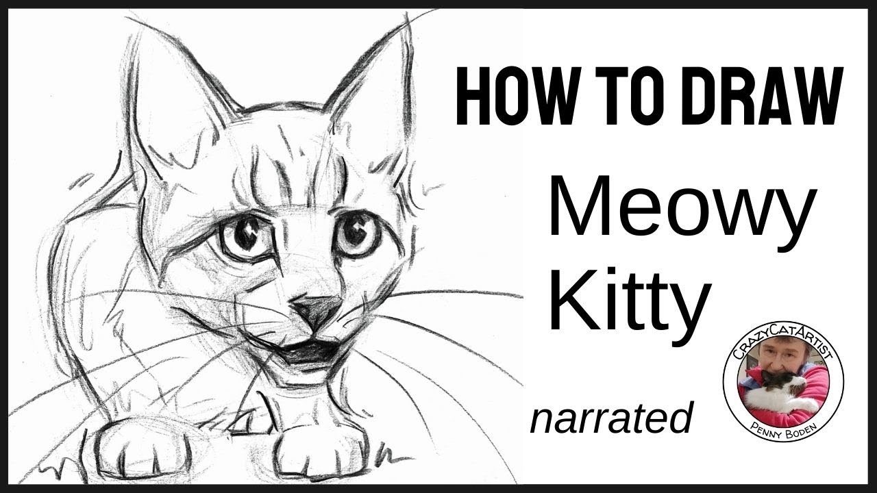 How to Draw Kitten Meowing, talking, crouching face forward full body little baby domestic shorthair