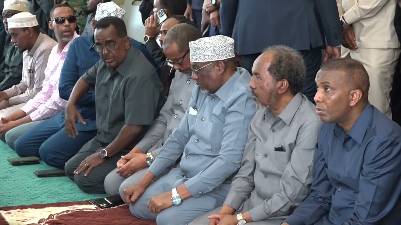 Aaska  Professor Jawaari billaaw illaa dhammaad | Muuqaallo murug leh .