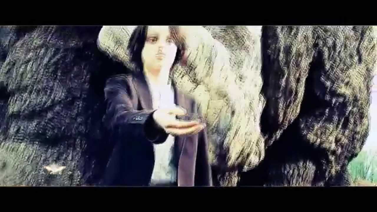 ►Harry Potter - Don't Let Me Go