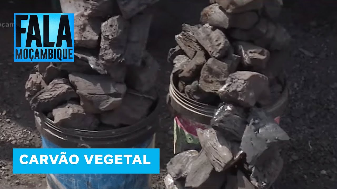 Carvão vegetal poderá escassear nos próximos dias em Maputo