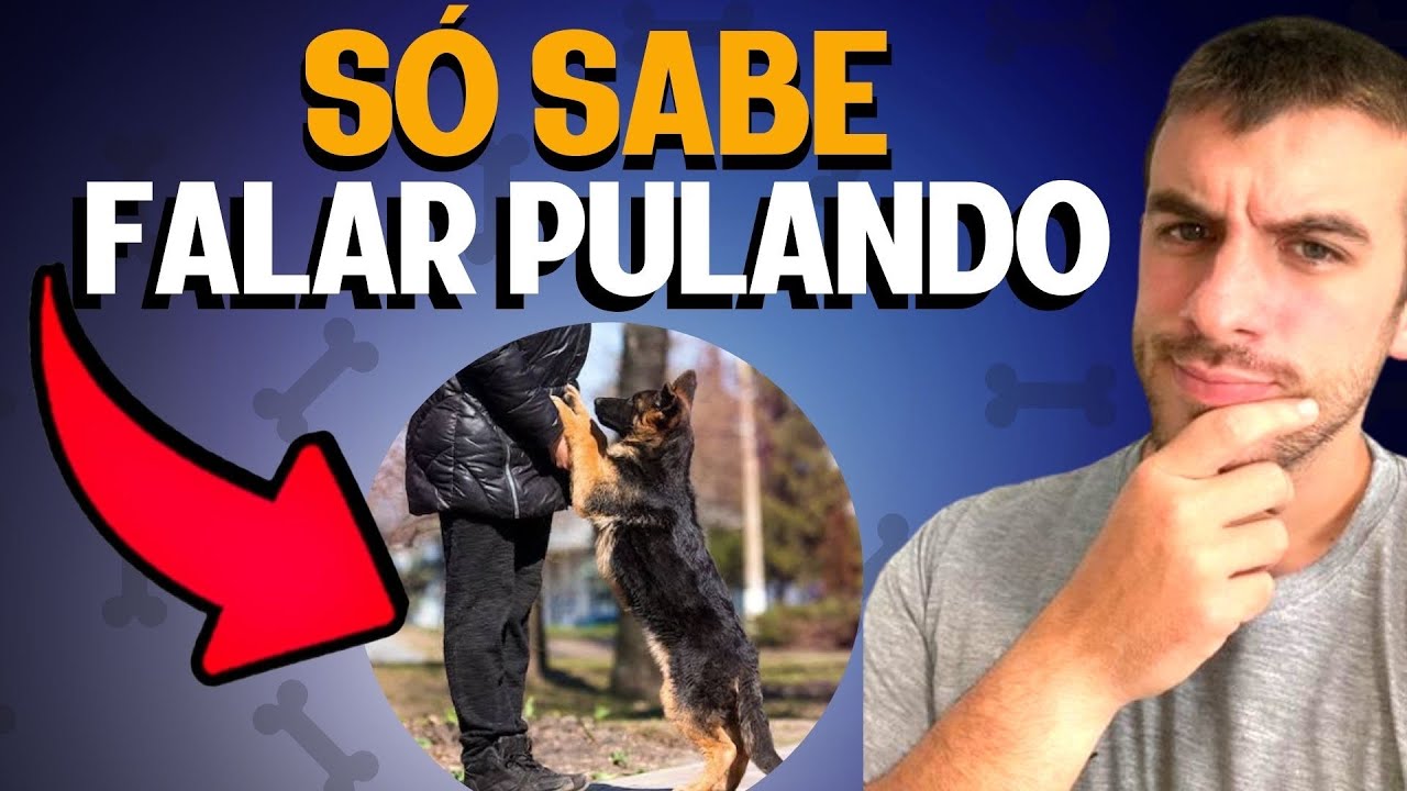 Como Ensinar O Cachorro A Não Ficar Pulando (TREINO NA PRÁTICA)