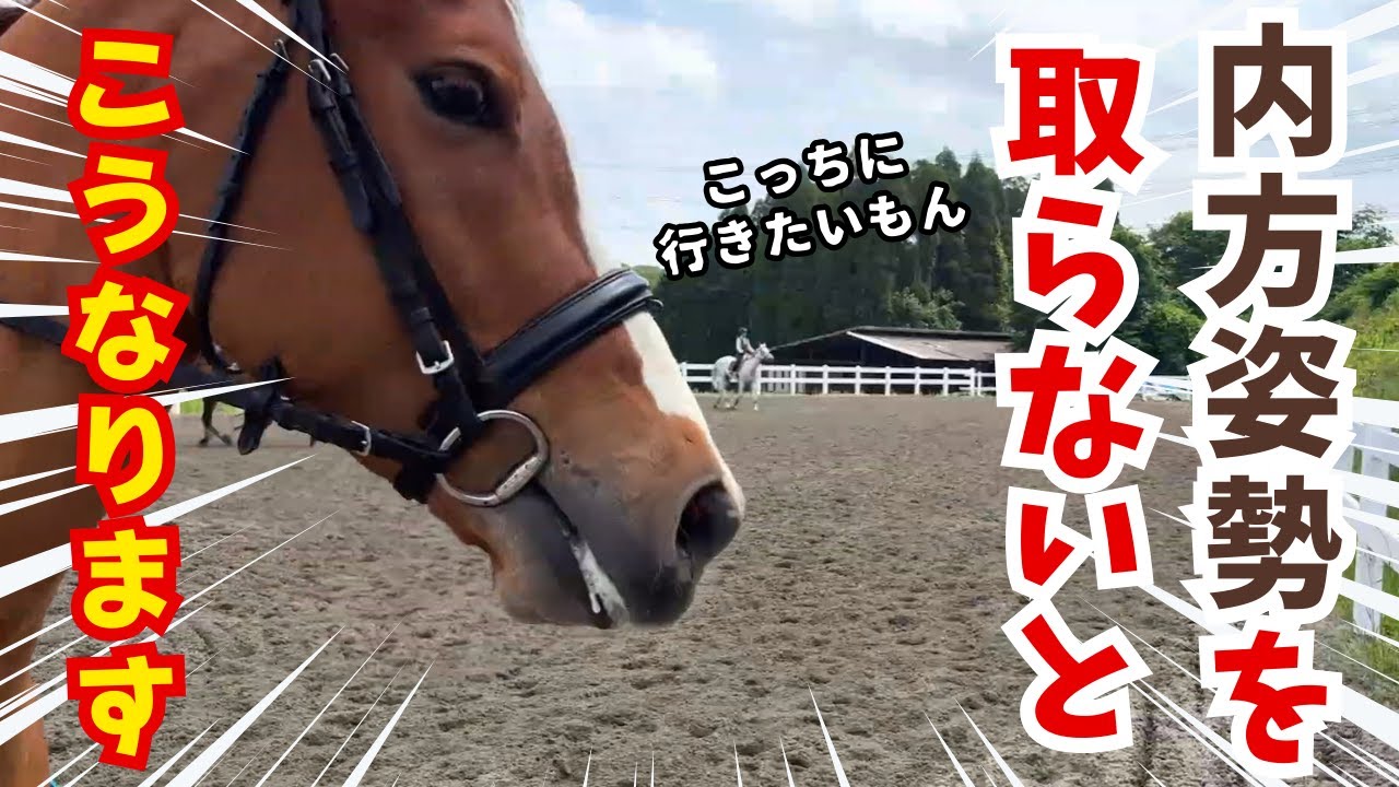「乗馬」内方姿勢を取らないとこうなります