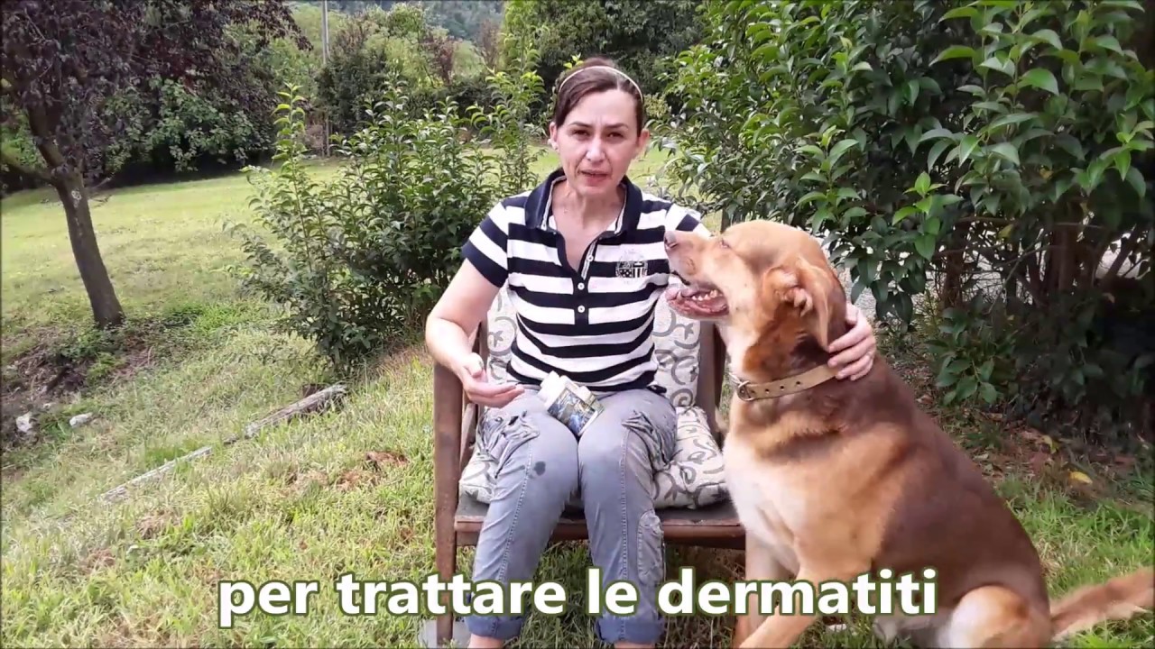 IN CASO DI: cani con dermatiti