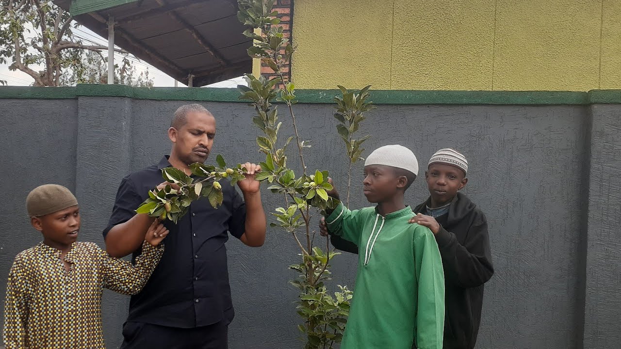 Iyamamazabuhinzi  rigomba kujyana n'indangagaciro zo gukunda igihugu.Eng.Ally,Phone:0788549685
