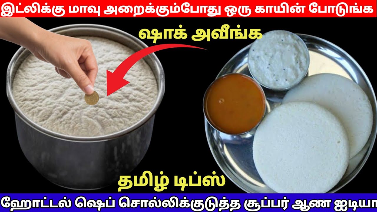 இந்த காயின் அதிசயம் பாருங்க நல்ல சாப்ட் இட்லி செய்ய ஷெப் நண்பர் சொன்ன ரஹசியம்|viralvideo|தமிழ்டிப்ஸ்