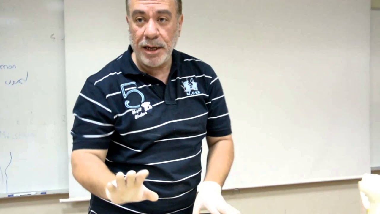 Anatomy - Respiratory system [Revision] By Dr.A.Alshahat
