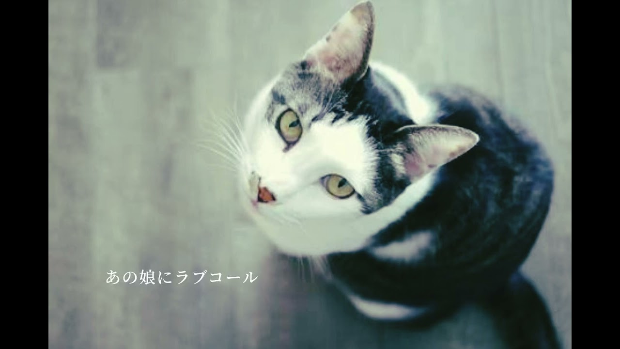 涙がこぼれそう/ The Birthday Acoustic ver.