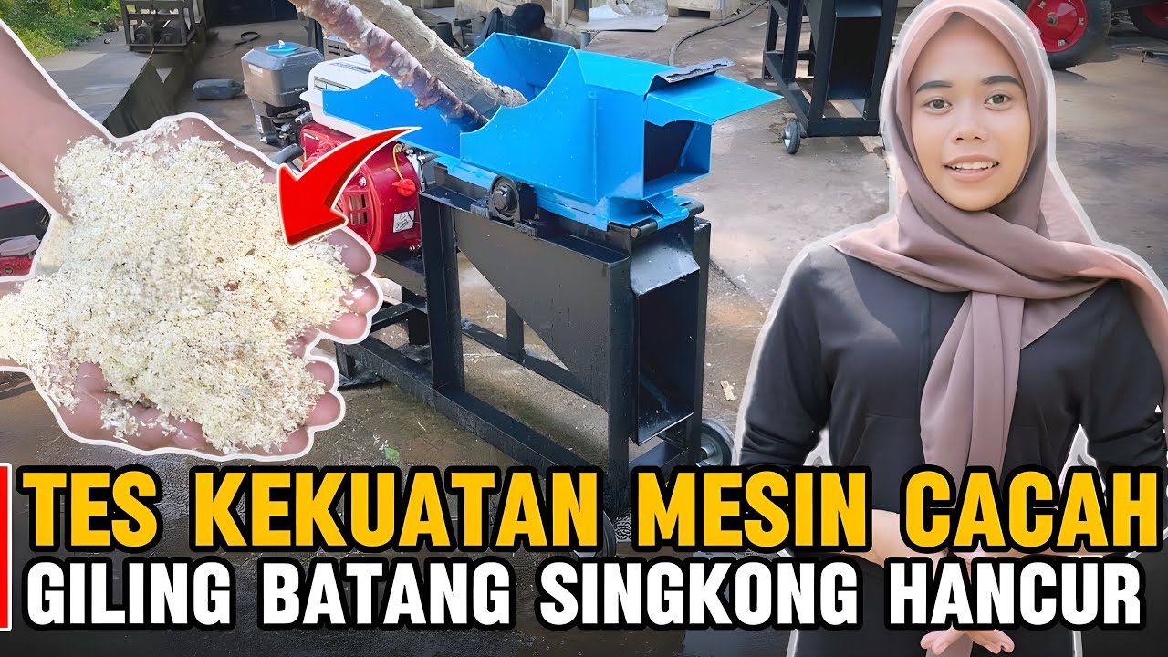 Tes Kekuatan Mesin Cacah! Batang Singkong Digiling Sampai Hancur
