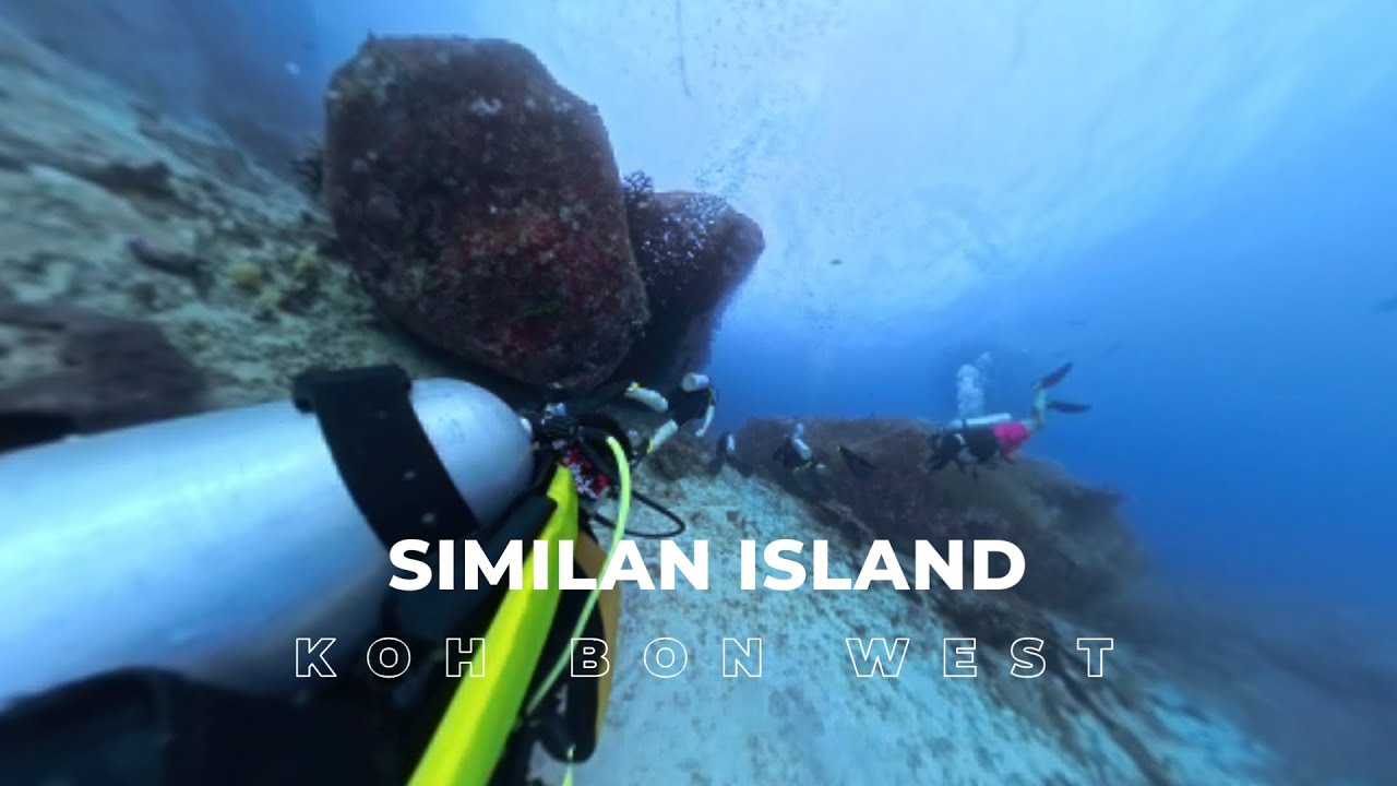 Similan islands group Dan 6 dive koh bon west ridge