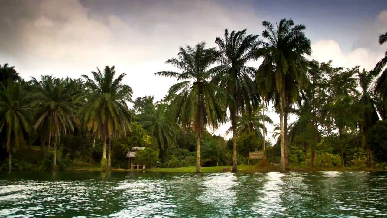 Tasik Kenyr -  A Lost World (Sunken Jungle)