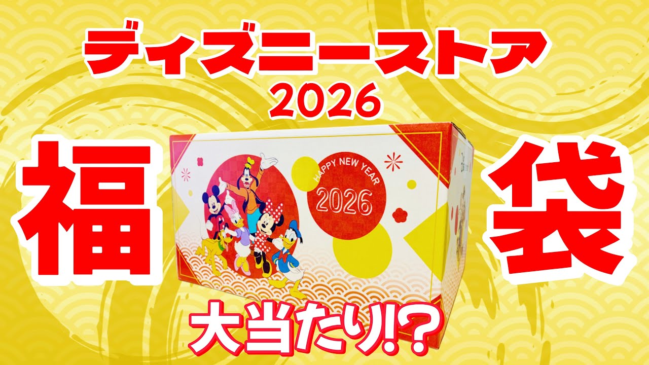 【福袋開封】ディズニーストア1万円のラッキーバッグを開封したらまさかの大当たり！？