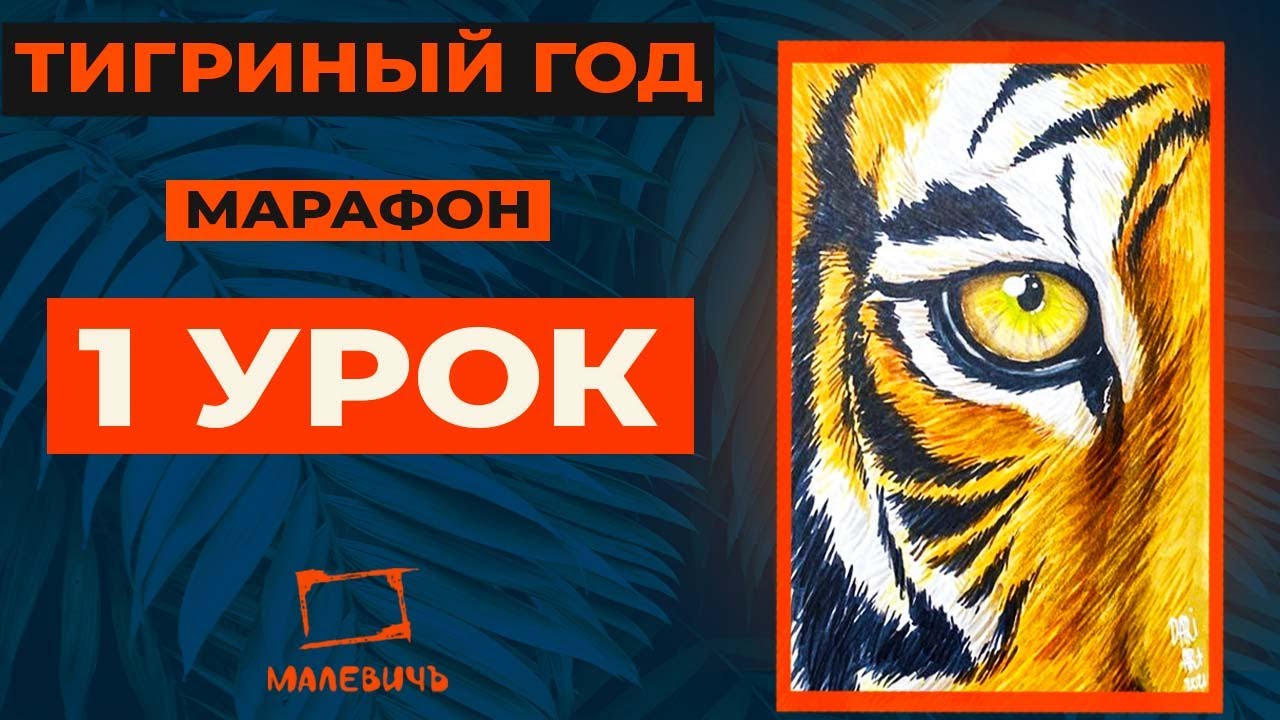 Рисуем тигриный глаз МАРКЕРАМИ! Тигриный год, 1 урок.