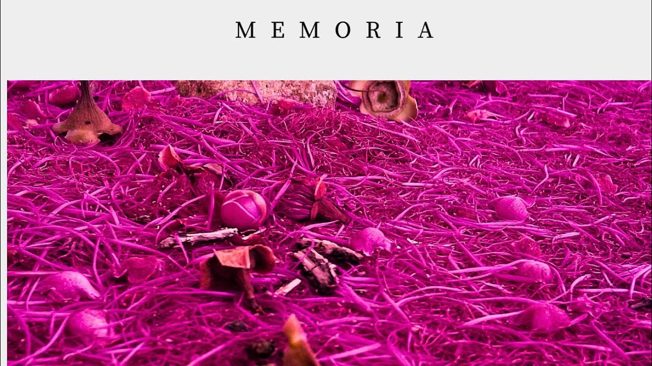 Memoria - Poeta Panda(a las cartas que nunca llegaron) video Liryck prod TAPR 1127E #newmusic 