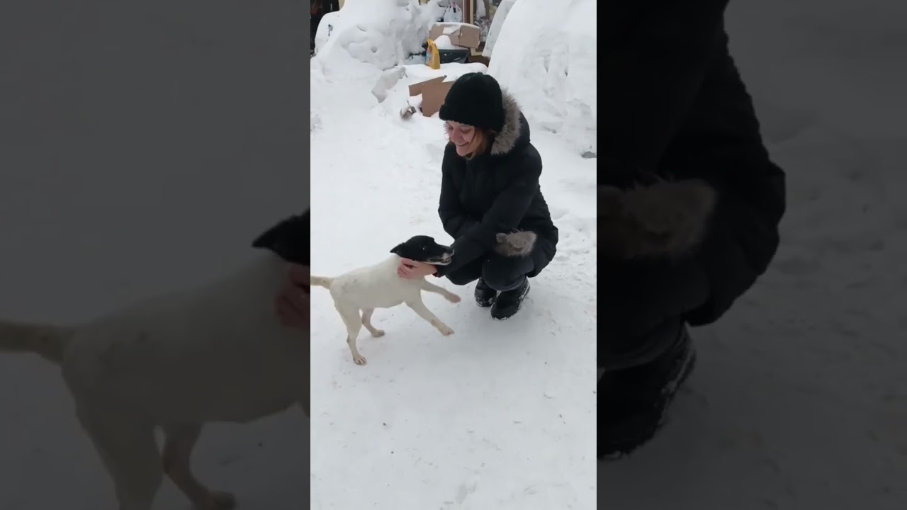 Гости у наших хвостиков 😊