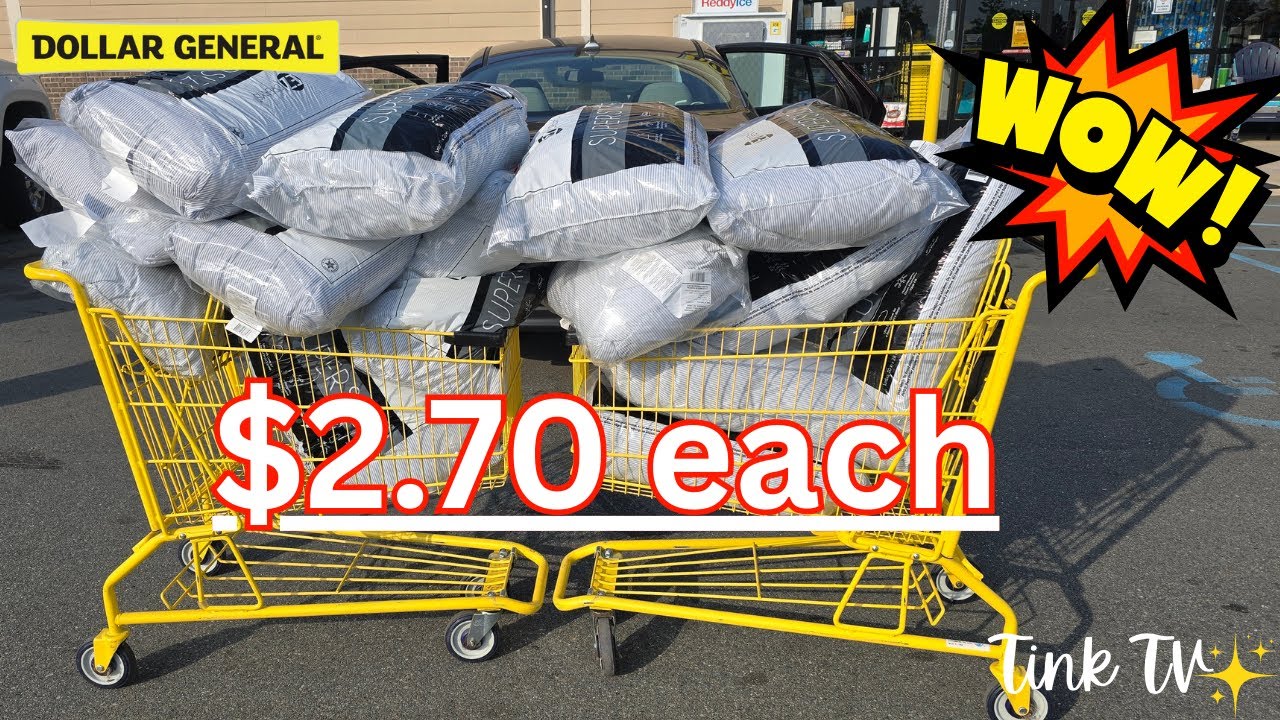 🔥OMG‼️DOLLAR General CLEARANCE Pillows 🔥Penny Hunting🔥CLEARANCE and More. #dollargeneral #running