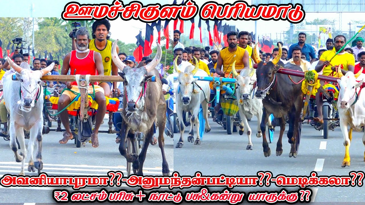 6ஊமச்சிகுளம்-பெரியமாடு-பந்தயம்_01.02.2026_V_Photography