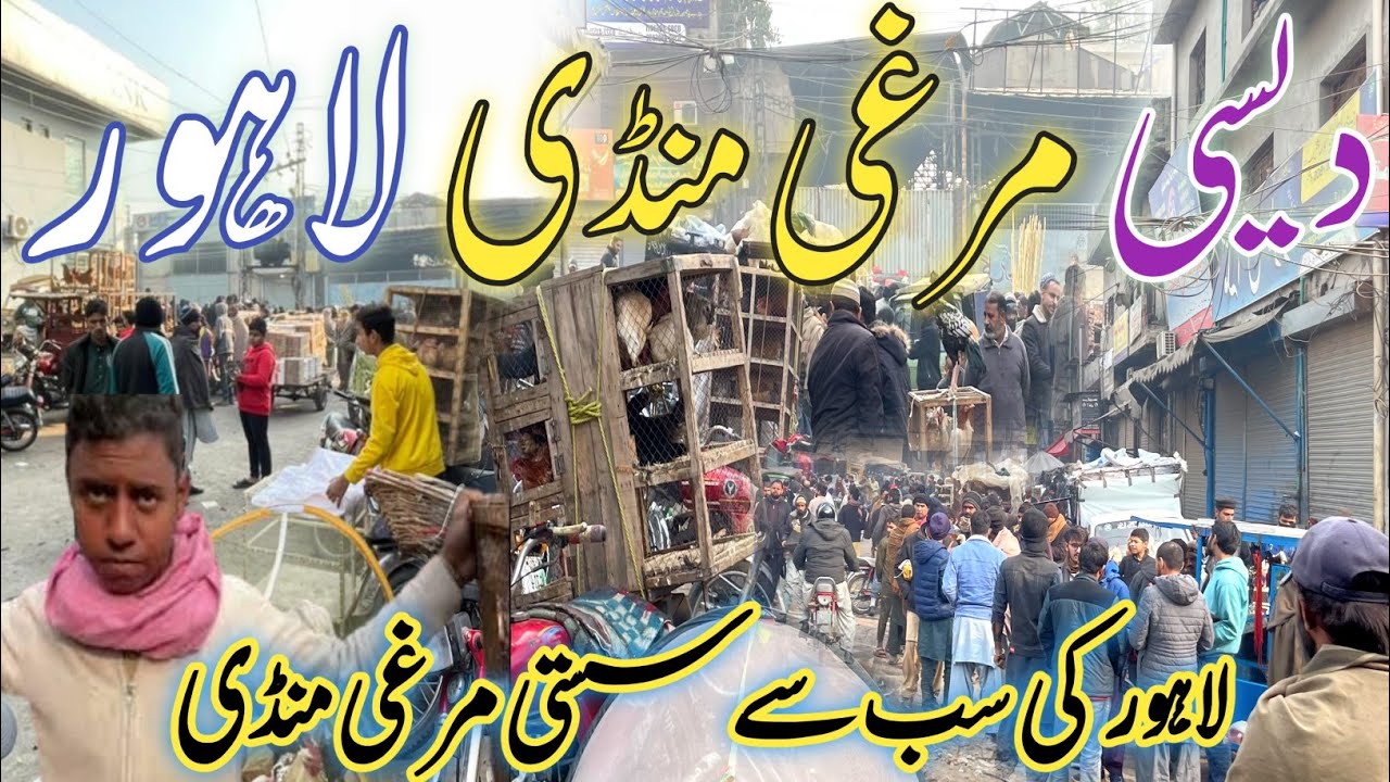 Andon Wali Murghi Sunday Bazaar New Price Update In Lahore Pakistan | Aseel Murga Mandi In lahore
