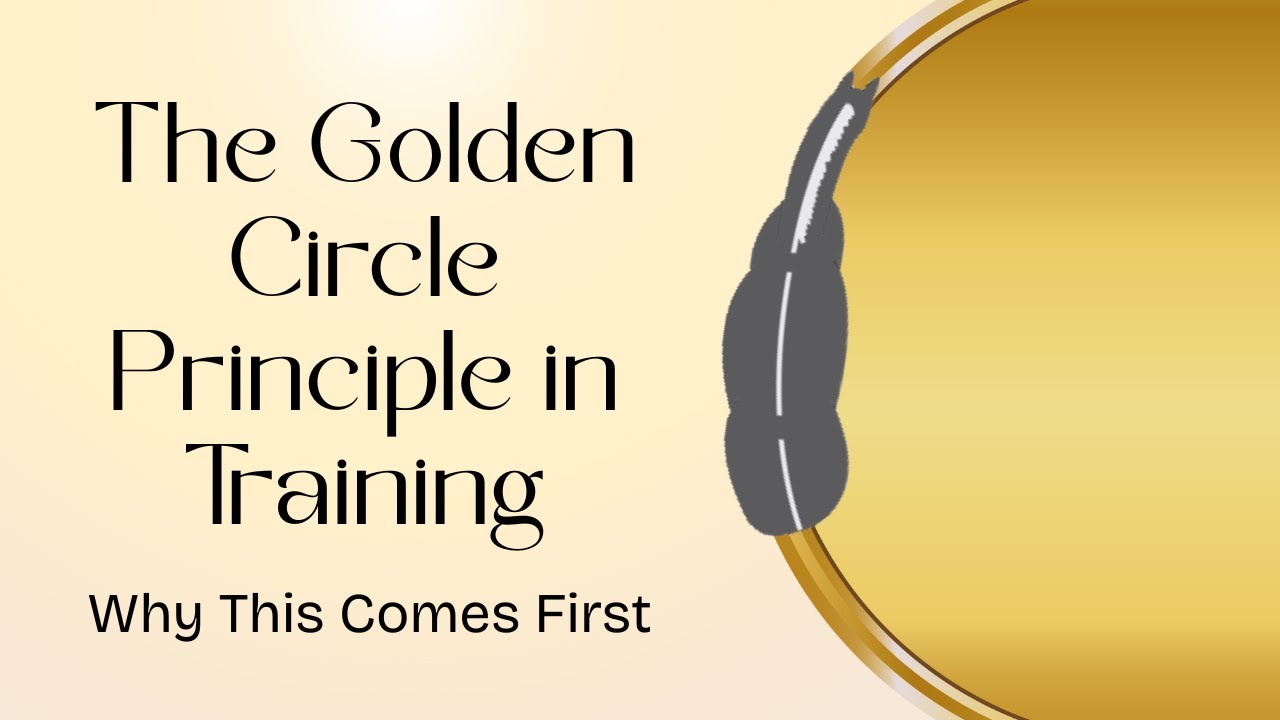 The Golden Circle Principle in Training: Why This Comes First