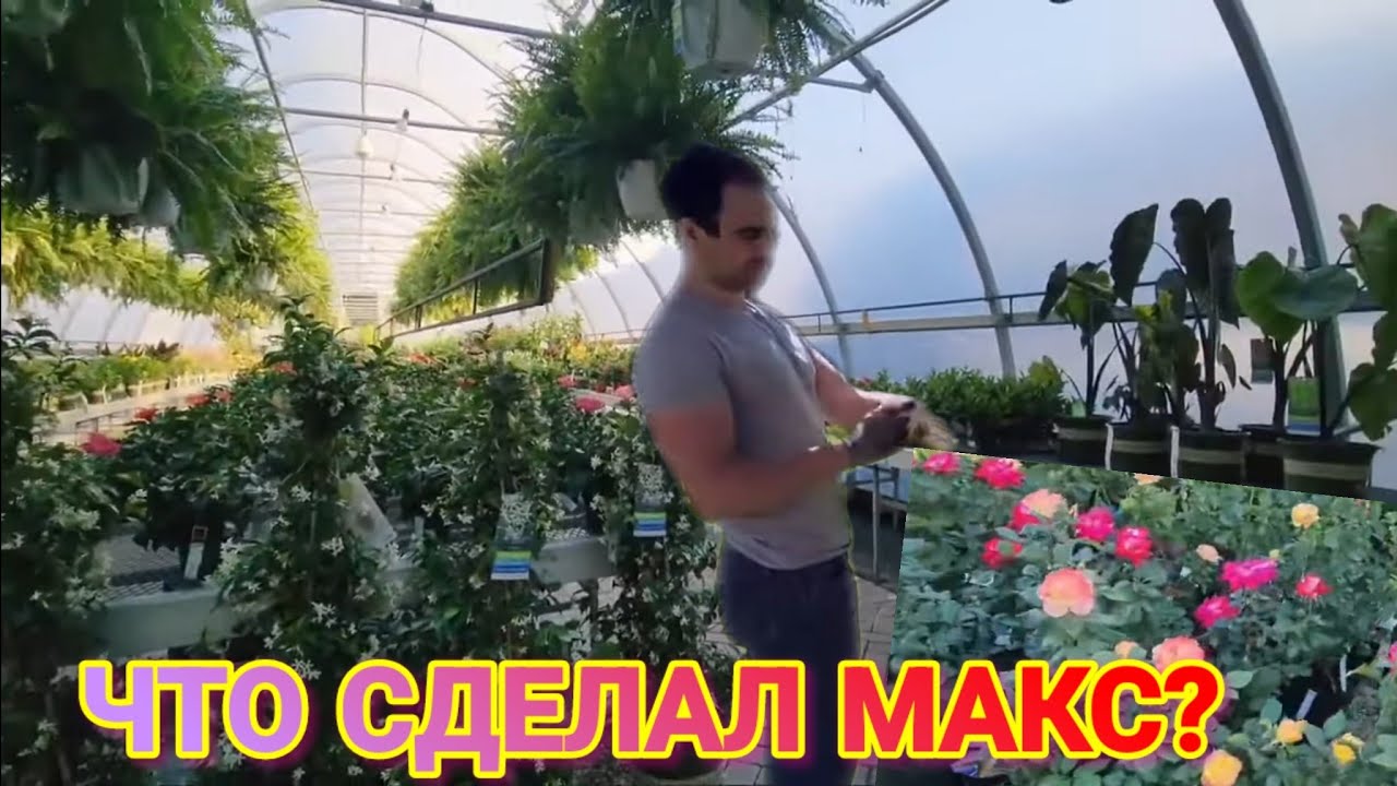 ❤️‍🔥Что Делает Макс?Сажать больше не буду!