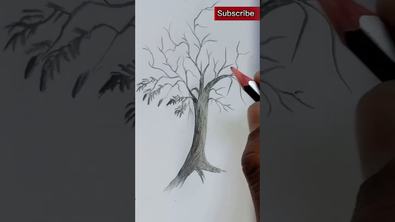 How to draw a mango tree  #shorts   #easydrawing  #pencildrawing