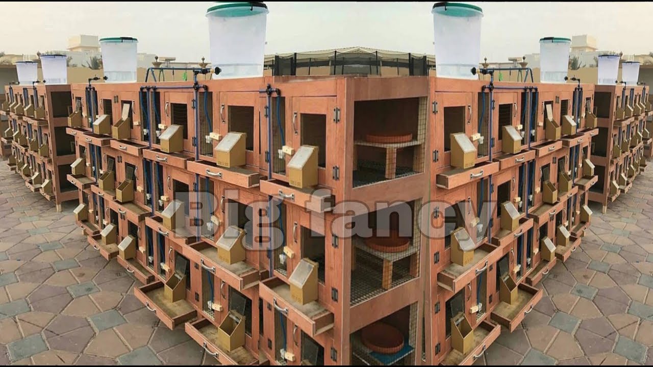 New pigeons wood breeding cages design / pigeon coops  | bird's nest boxs | wooden large bird cages